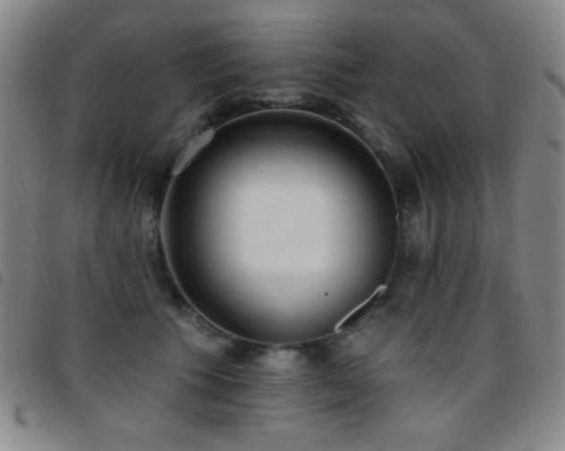 X0000097850609200803141218