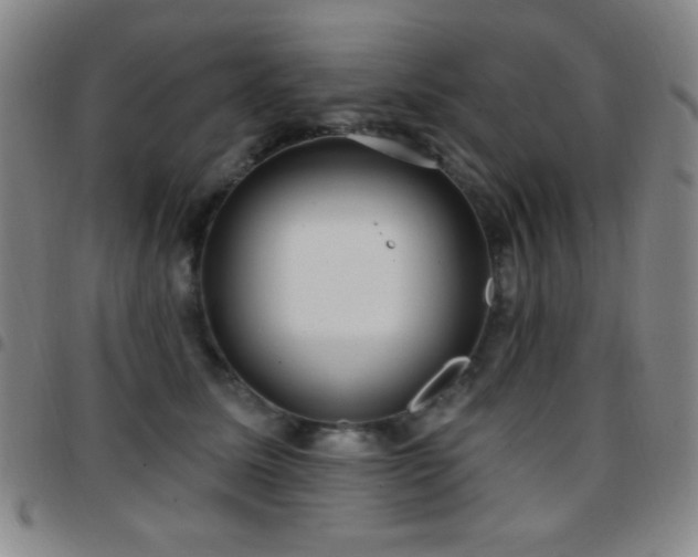 X0000097850611200803141218