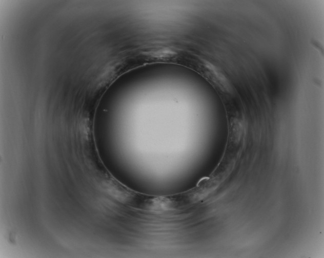 X0000097850612200803141218