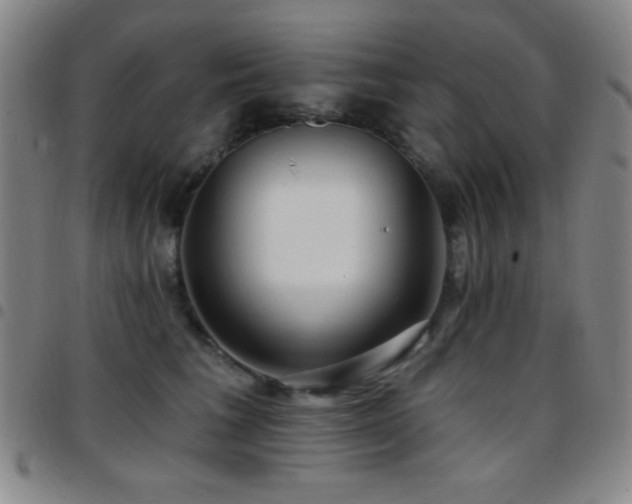 X0000097850613200803141218