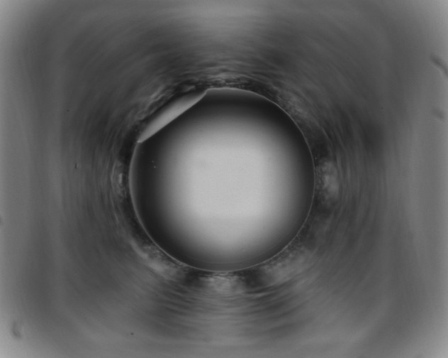 X0000097850615200803141218