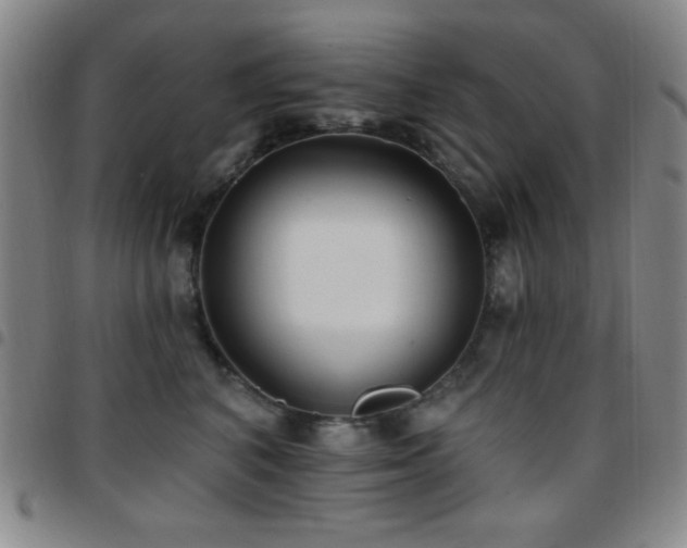 X0000097850616200803141218