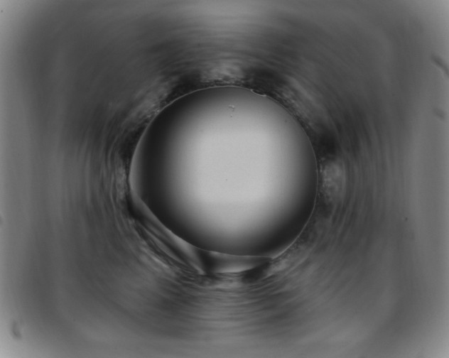 X0000097850617200803141218