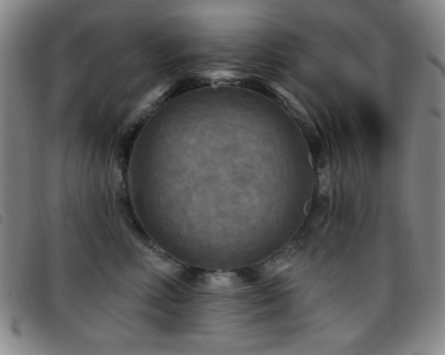 X0000097850618200803141218