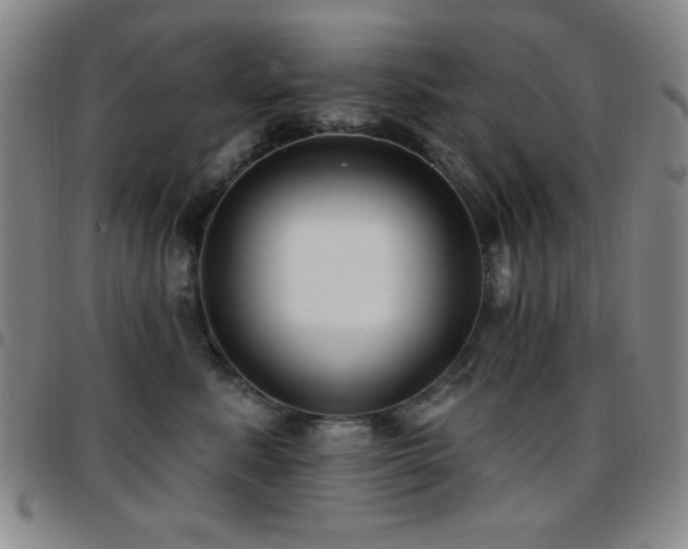 X0000097850619200803141218