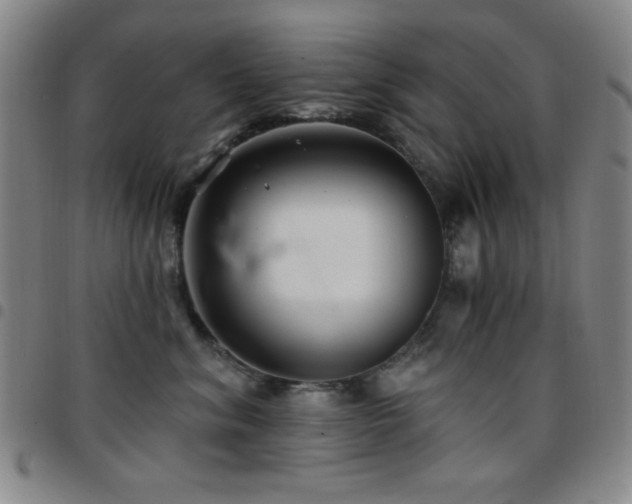X0000097850620200803141218