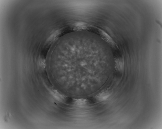 X0000097850621200803141218