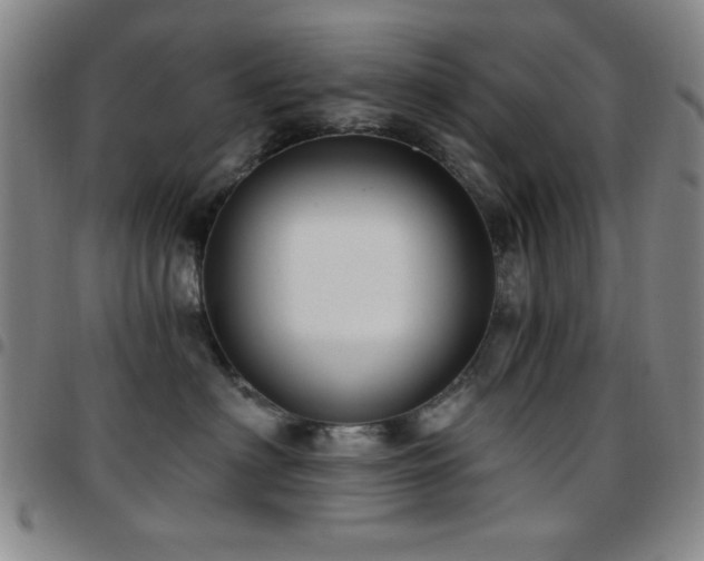 X0000097850622200803141218