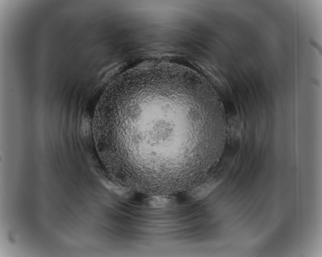 X0000097850623200803141218