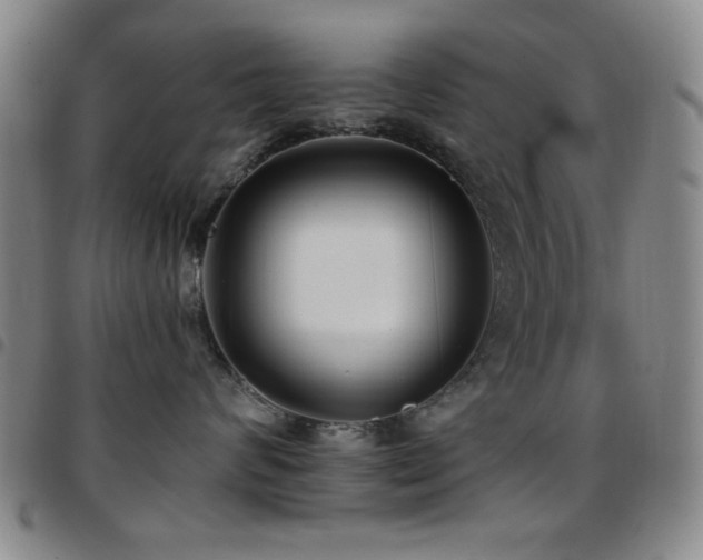 X0000097850624200803141218