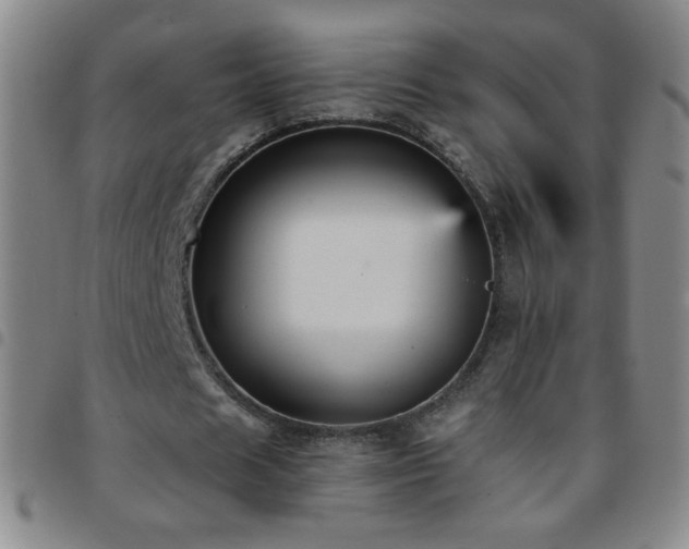 X0000097850625200803141218