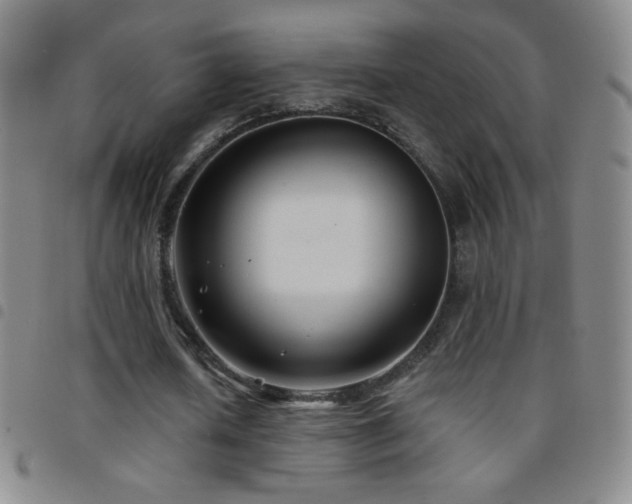 X0000097850626200803141218