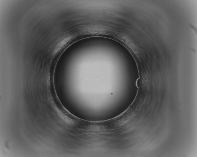 X0000097850629200803141218