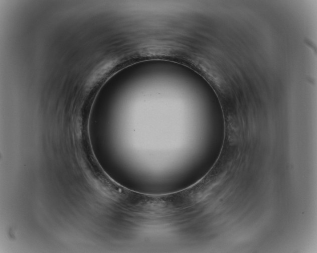 X0000097850631200803141218