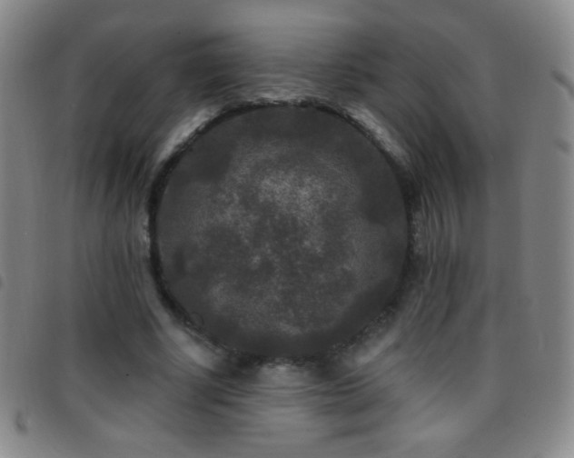 X0000097850634200803141218