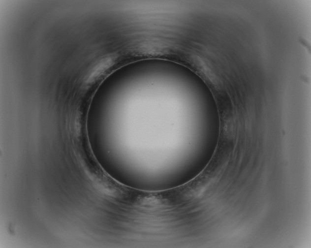 X0000097850635200803141218