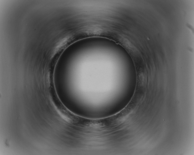 X0000097850638200803141218