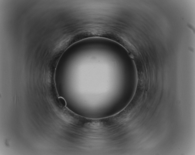 X0000097850639200803141218