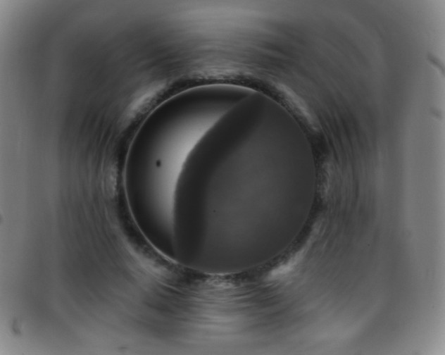 X0000097850640200803141218