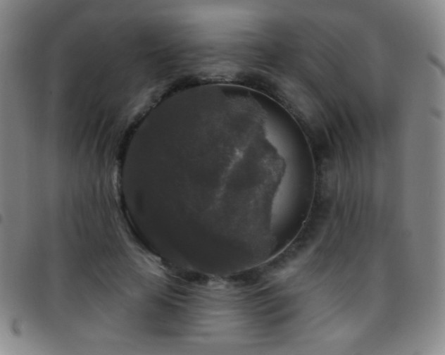 X0000097850641200803141218