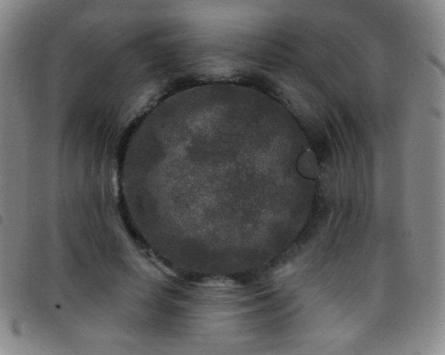 X0000097850642200803141218