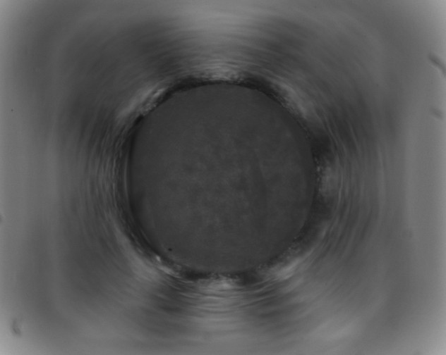 X0000097850643200803141218