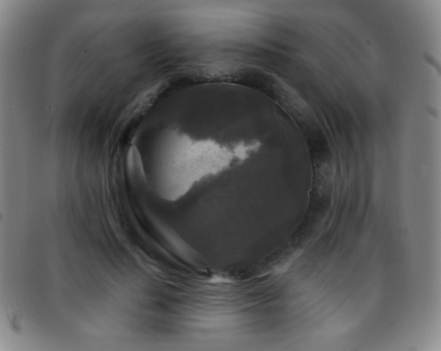 X0000097850644200803141218