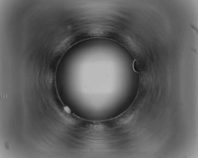 X0000097850645200803141218