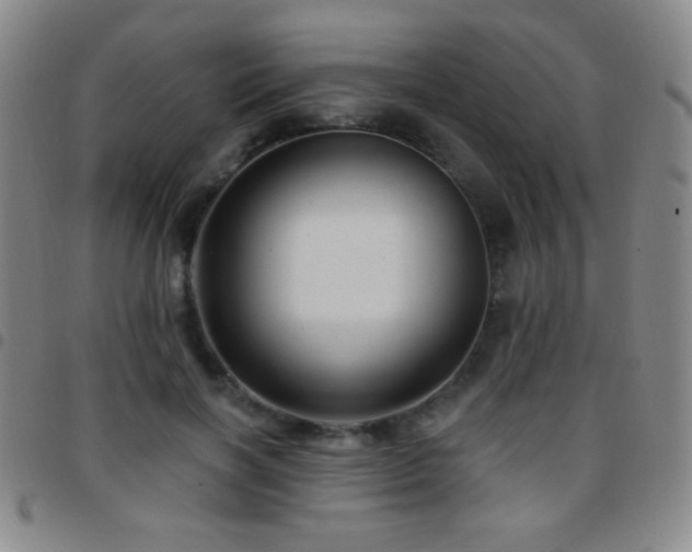 X0000097850646200803141218