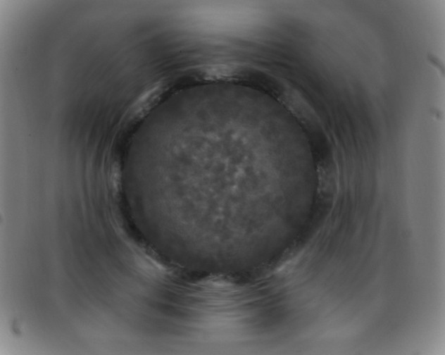 X0000097850648200803141218