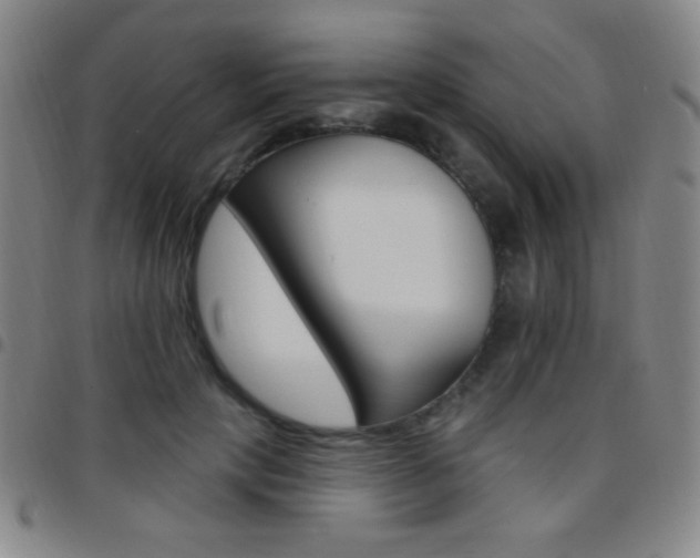 X0000097850649200803141218