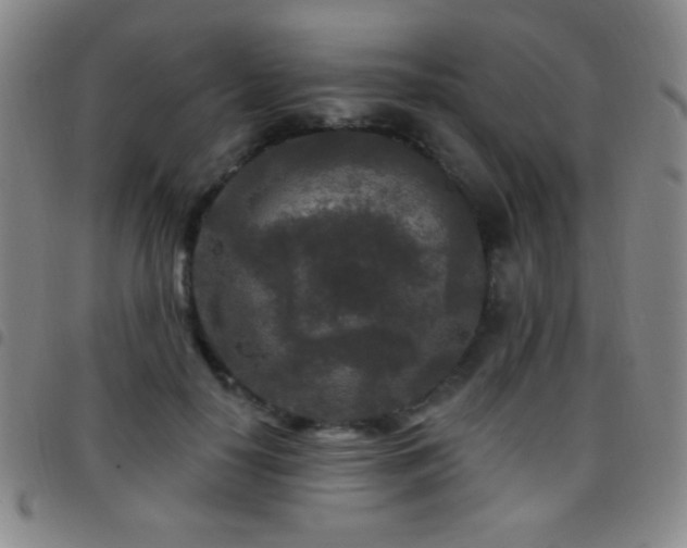 X0000097850650200803141218