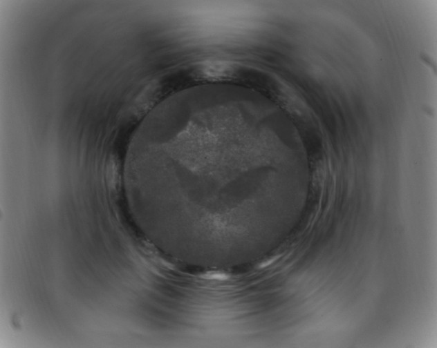 X0000097850651200803141218