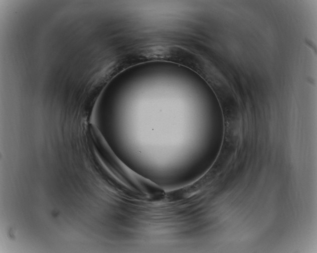 X0000097850652200803141218