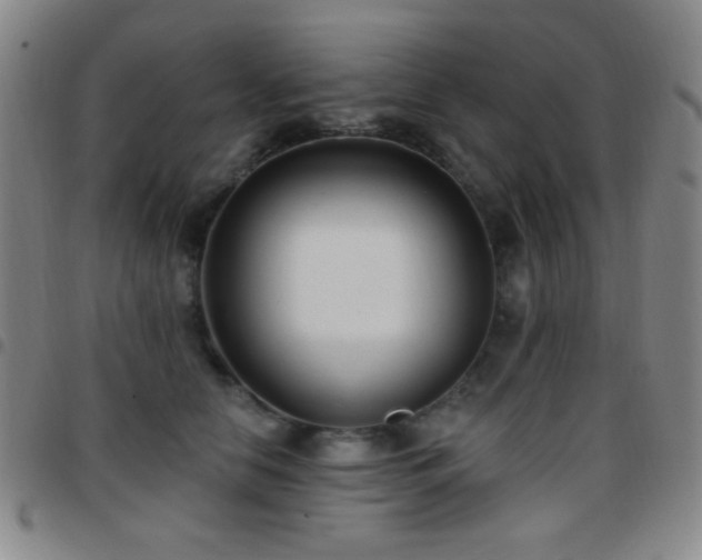 X0000097850658200803141218