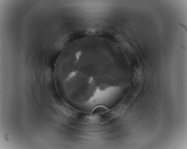X0000097850659200803141218