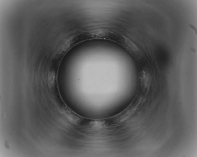 X0000097850660200803141218
