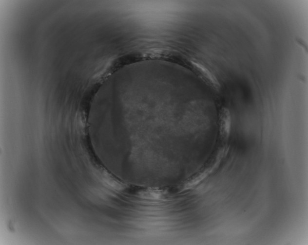 X0000097850661200803141218