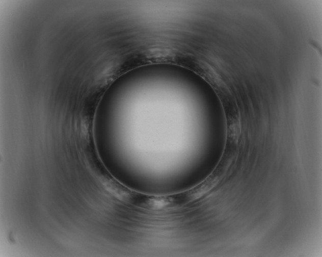X0000097850662200803141218