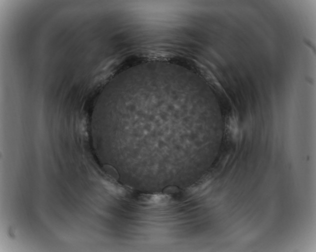 X0000097850663200803141218