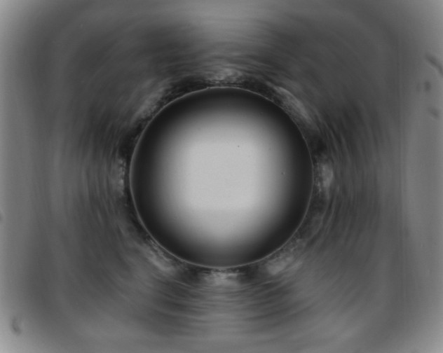 X0000097850664200803141218