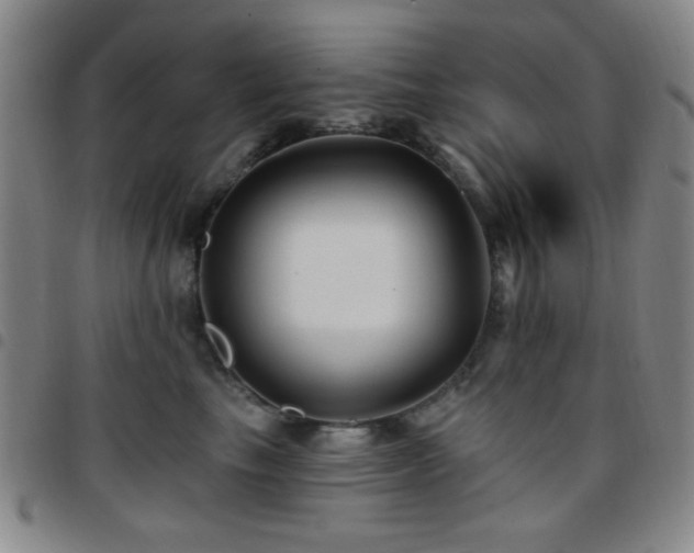 X0000097850665200803141218