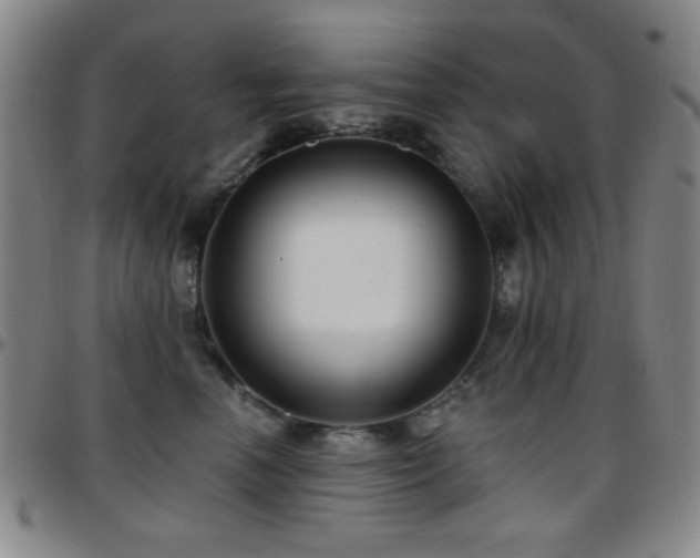 X0000097850666200803141218