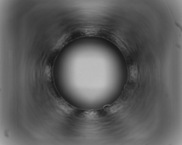 X0000097850667200803141218