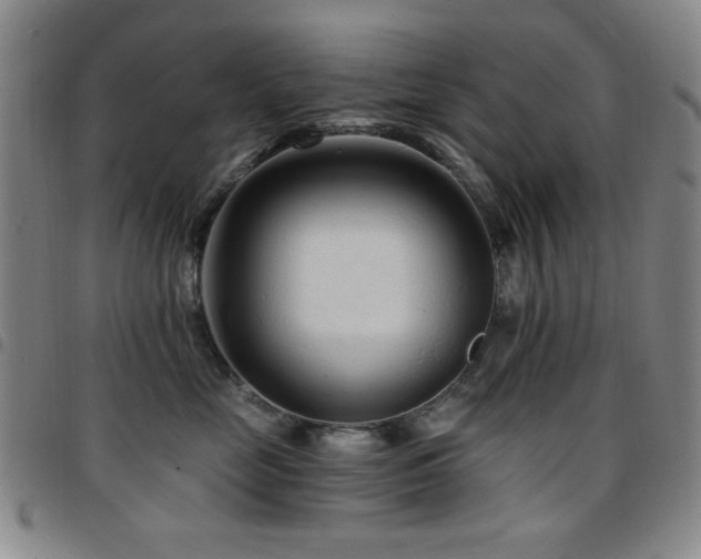X0000097850669200803141218