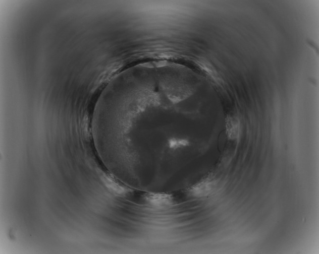 X0000097850670200803141218