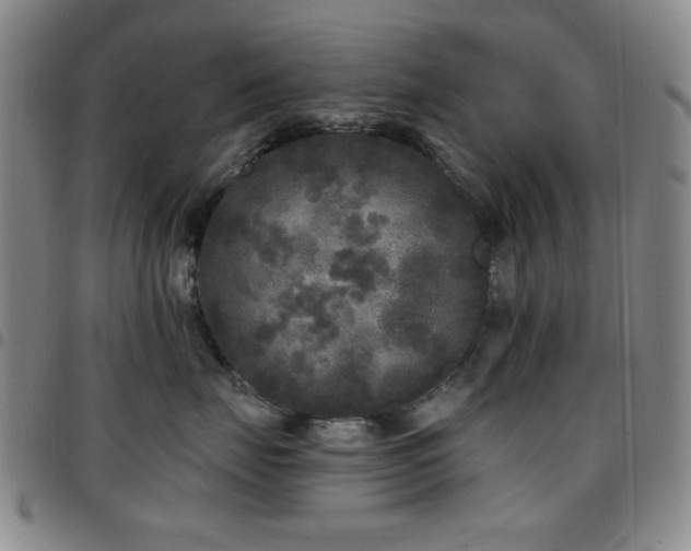 X0000097850671200803141218