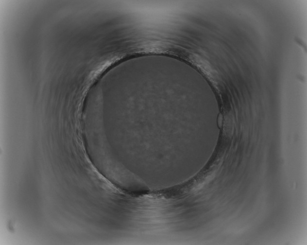 X0000097850673200803141218