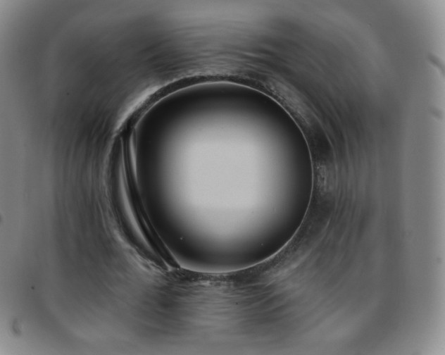 X0000097850676200803141218