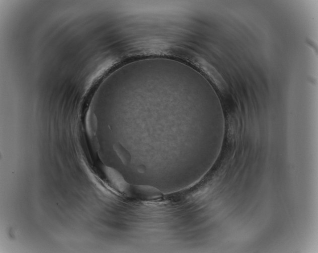X0000097850677200803141217